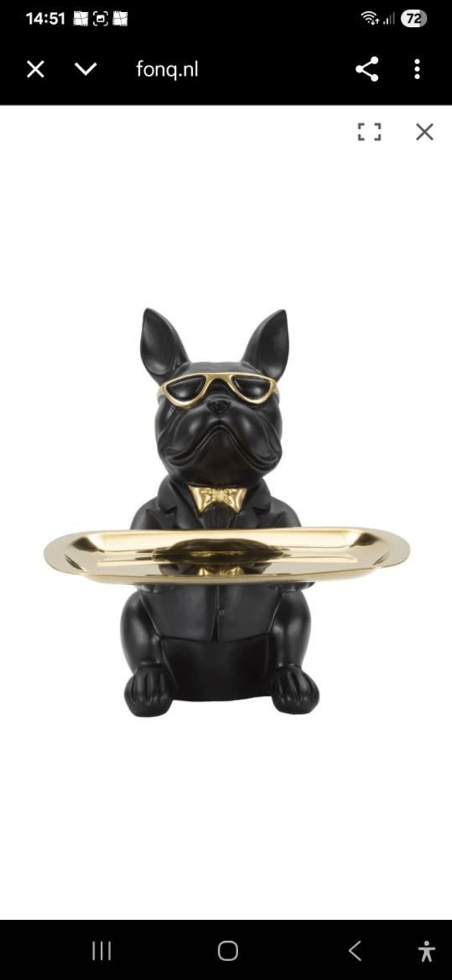 Beeld hond buldog met spaarpot