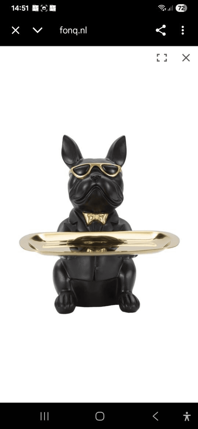 Beeld hond buldog met spaarpot